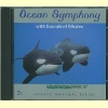 22-ocean_symphony_gregor-theelen-a